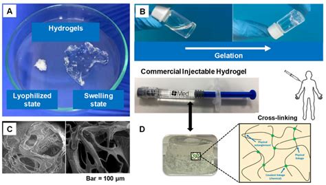 Injectable Hydrogel.